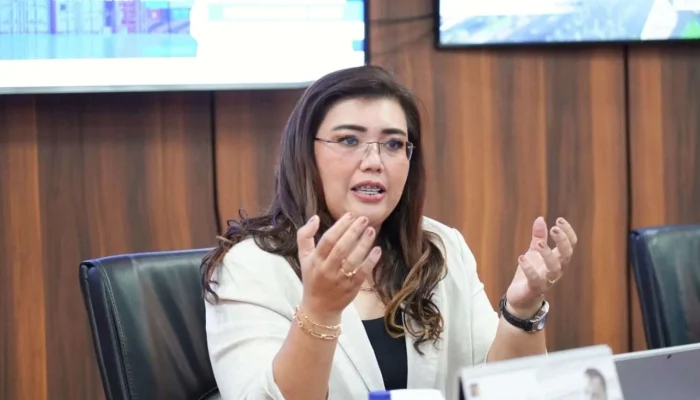BP Batam Catat 1.182 Permohonan Perizinan OSS sejak September 2025 hingga September 2026