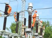 Jaga Keandalan Sistem, PLN Batam Kembali Lakukan Pemeliharaan Jaringan